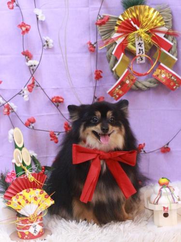 20230131アンバーちゃん